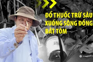 Trailer điều tra: Đổ thuốc trừ sâu xuống sông Đồng Nai bắt tôm 