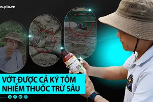 VIDEO Điều tra - Kỳ 2: Cận cảnh rượt đuổi và vớt tôm nhiễm thuốc trừ sâu trên sông Đồng Nai