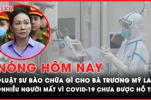Nóng hôm nay: Luật sư bào chữa gì cho bị cáo Trương Mỹ Lan?
