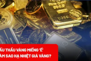 Đấu thầu vàng miếng bị 'ế', giải pháp nào bình ổn thị trường vàng? 