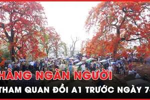 Hàng ngàn người tham quan Đồi A1 trước ngày đại lễ chiến thắng Điện Biên Phủ