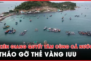Kiên Giang quyết tâm chấm dứt tàu cá vi phạm vùng biển nước ngoài, cùng cả nước tháo gỡ thẻ vàng