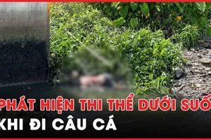 Đi câu cá, tá hoả phát hiện một thi thể trôi dưới suối