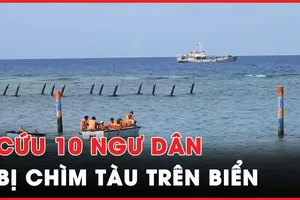 Hải quân cứu 10 ngư dân 2 tàu cá Phú Yên, Bình Định bị chìm trên biển