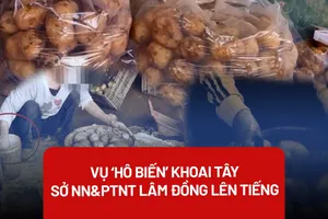 'Hô biến' khoai tây Trung Quốc thành nông sản Đà Lạt là vi phạm pháp luật