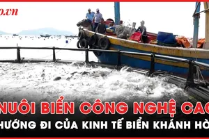 Nuôi biển công nghệ cao: Bước đi vững chắc cho ngành kinh tế biển Khánh Hòa