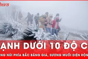 Ảnh hưởng không khí lạnh khiến các tỉnh vùng núi phía Bắc xuất hiện băng giá, sương muối 