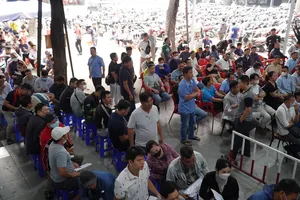 TP.HCM: Người dân vật vã xếp hàng từ 5h sáng, điểm đổi GPLX quá tải