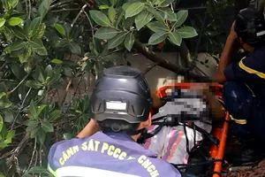 Giải cứu người phụ nữ có biểu hiện bị tâm thần đứng trên nóc nhà la hét