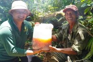 Cận cảnh 1 ngày bắt ong khoái 