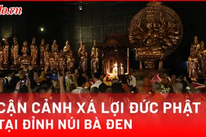 Video: Trang nghiêm lễ rước xá lợi Đức Phật tại Tây Ninh