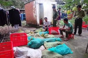 Bình Phước: Bắt điểm chứa động vật hiếm số lượng lớn 