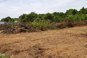 Phó thủ tướng chỉ đạo thanh tra đất NN ở Phú Quốc