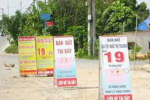 Nhiều người khóc hận vì ôm đất nền ngoại thành TP.HCM 