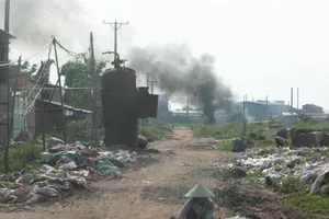 Trồng rau 'tại gia' tưởng là sạch nhưng chưa chắc 