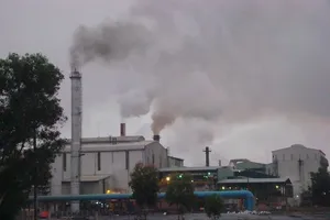 Trồng rau gần khu công nghiệp: Coi chừng ung thư