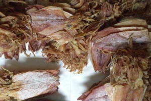 Hướng dẫn cách nhận biết khô mực giả