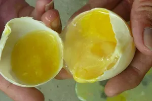 Hiểm họa gây bệnh từ trứng ung