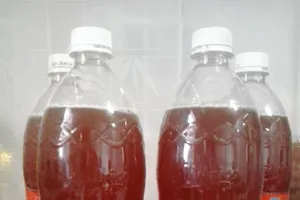 Bán mật ong nuôi quảng cáo ong rừng: Coi chừng mang họa