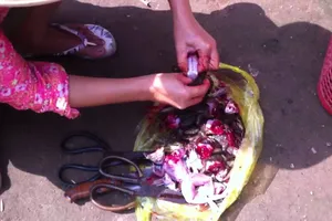 Coi chừng mang họa vì bán thịt cóc 