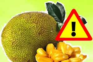 Những người nên hạn chế ăn mít