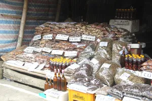 Coi chừng thảo dược “dỏm” bán ở các khu du lịch