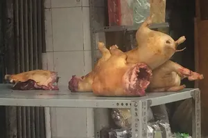 Tác hại của việc ăn thịt động vật trúng bả độc