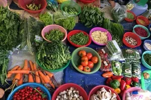 Rau củ quả, không đơn thuần chỉ có chất dinh dưỡng