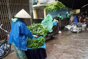 Những lưu ý về thực phẩm trong mùa bão