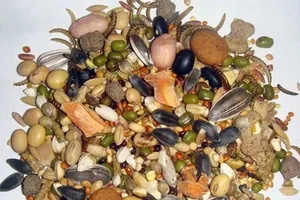 Những thực phẩm có chất gây dị ứng