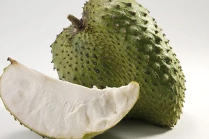 Công dụng bất ngờ của mãng cầu xiêm