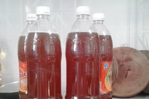 Hiểm họa đáng lo từ mật ong giả