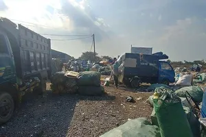 Giám sát việc xử lý ô nhiễm ở bãi rác Hiệp Thành, quận 12