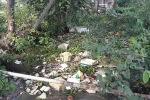 TP giám sát việc xử lý ý kiến của dân về tình trạng xả rác 