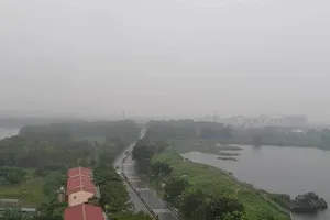 Sương mù dày đặc ở TP.HCM là do... Indonesia cháy rừng?