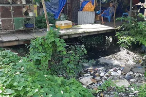 TP.HCM xử lý nhiều công trình lấn chiếm hệ thống thoát nước