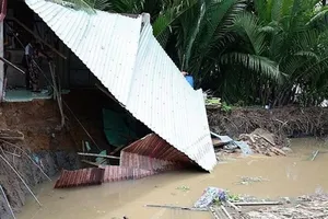 TP.HCM: Hàng ngàn hộ dân bị ảnh hưởng do sạt lở