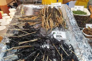 Nhiều món độc, lạ từ liên hoan ẩm thực món ngon các nước 