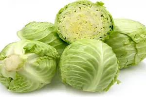 Chống lại bệnh gan nhiễm mỡ bằng cách ăn bắp cải