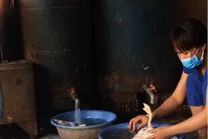 TP.HCM yêu cầu xử lý dứt điểm nơi giết mổ gia cầm trái phép