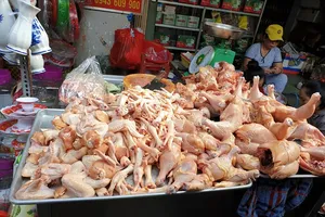 TP.HCM kiểm tra vệ sinh an toàn thực phẩm tại nhiều cơ sở