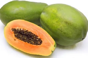 Quả đu đủ giúp làm chậm sự tiến triển của bệnh tiểu đường