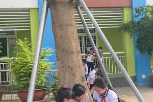 Chống cây đổ bằng khung sắt có phải là giải pháp tốt?