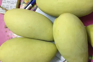 Loại trái cây giúp bảo vệ da khỏi tia cực tím trong mùa nóng