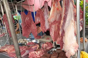 TP.HCM tăng cường ngăn chặn vận chuyển heo trái phép