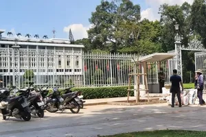 Loại cây được trồng thay thế ở Dinh Độc Lập là cây gì?