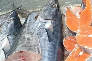 Cá thu có thể giúp làm giảm nguy cơ bệnh tiểu đường?
