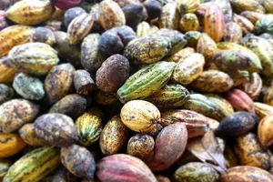 Thực phẩm phổ biến nào giúp tăng cường sức khỏe của phổi?