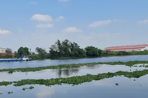 Thời tiết tại Nam bộ ra sao trong dịp Tết Nhâm Dần?