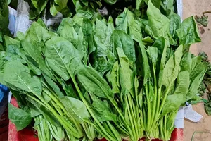 Thực phẩm giàu protein và vitamin B cần bổ sung cho người ăn chay